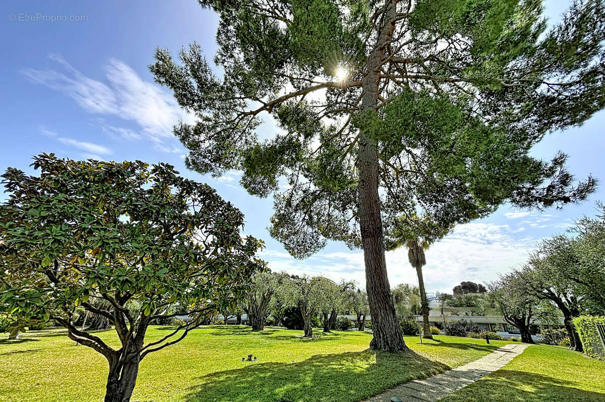 Appartement à LE CANNET