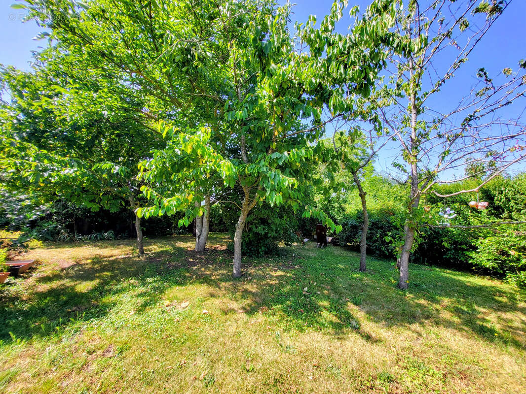 Maison familiale rénovée avec terrain arboré dans un secteur recherché de Polignac - photo 7