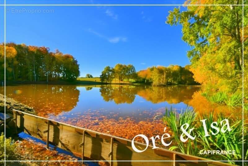 Terrain à SAINT-DESIRE