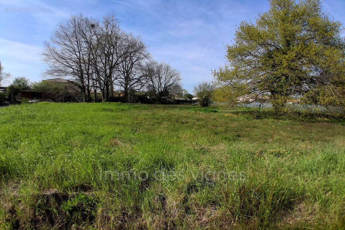 Terrain à AMBARES-ET-LAGRAVE