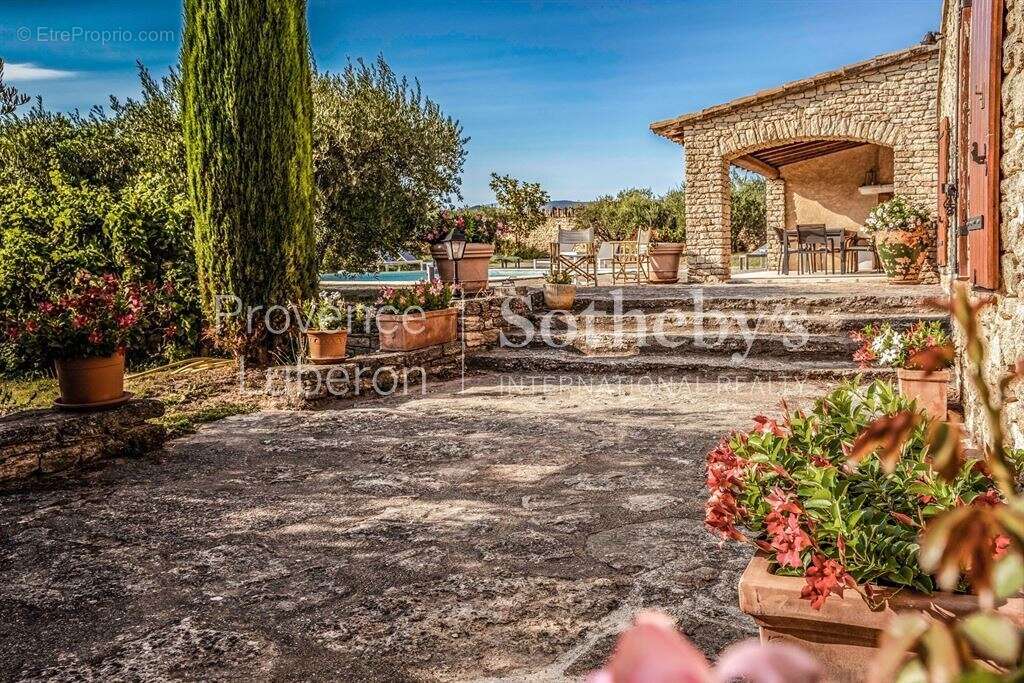 À Gordes, une oliveraie d’exception face au Luberon - photo 7