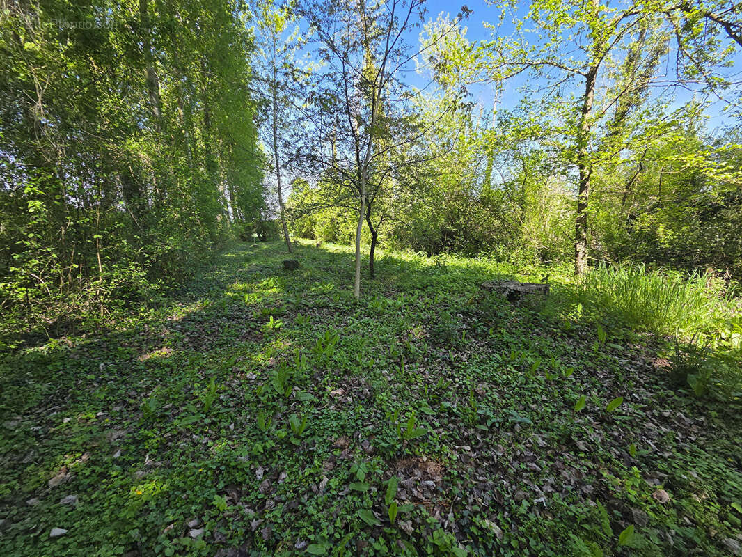 Terrain avec Mobil-Home 20 m2 - terrain 1600 m2 - Villiers Sur Seine - photo 4