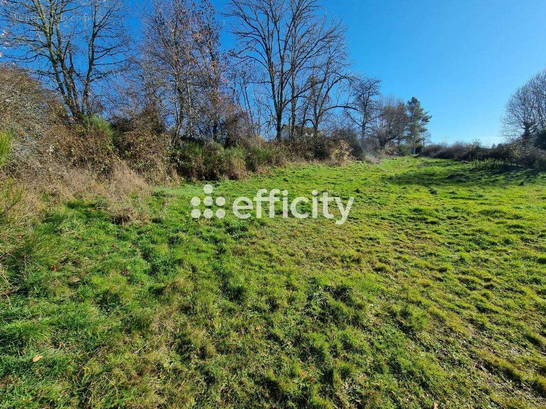 Maison à SAINT-PIERRE-LE-VIEUX