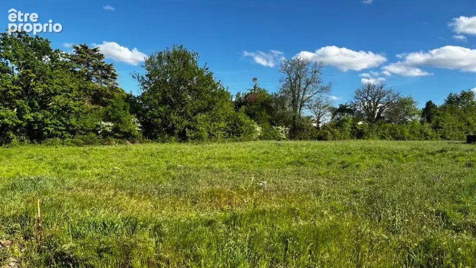 Terrain 6 500 m² à vendre à Saint-Caprais-De-Bordeaux (33880) - photo 2