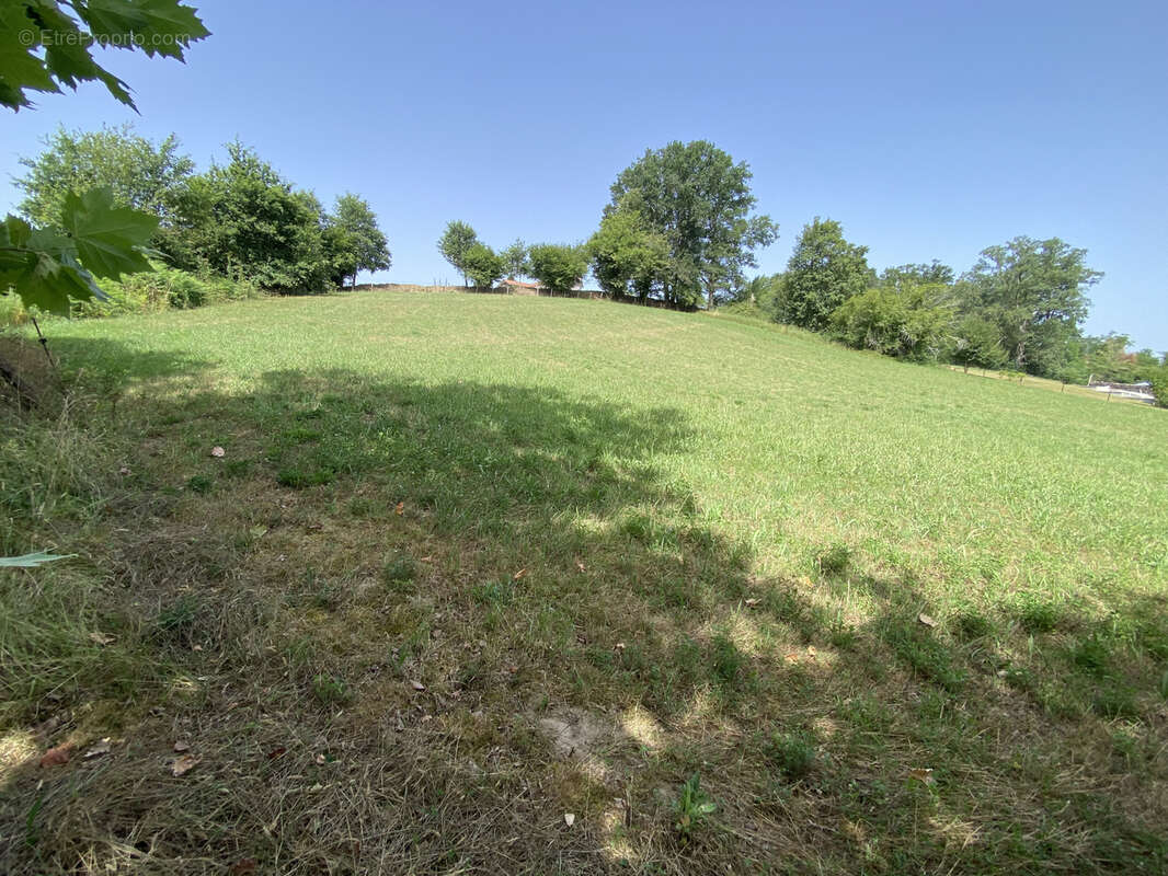Terrain à SAUVELADE