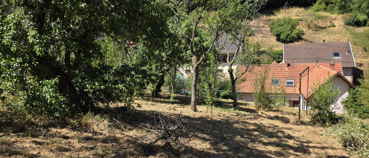 Rothau, grande maison individuelle avec logement indépendant, 12.76 ares. - photo 20