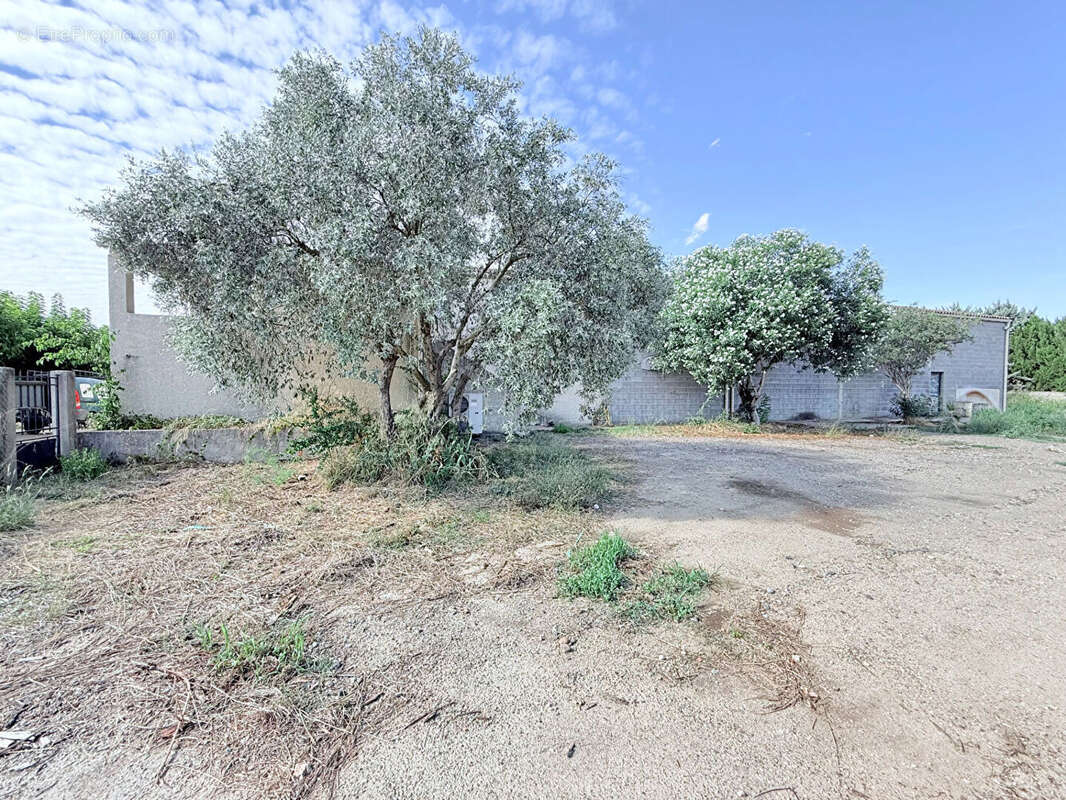 Maison à PUISSALICON