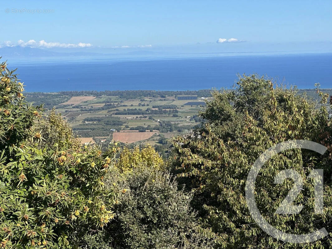 Terrain à PENTA-DI-CASINCA