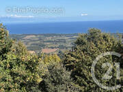 Terrain à PENTA-DI-CASINCA