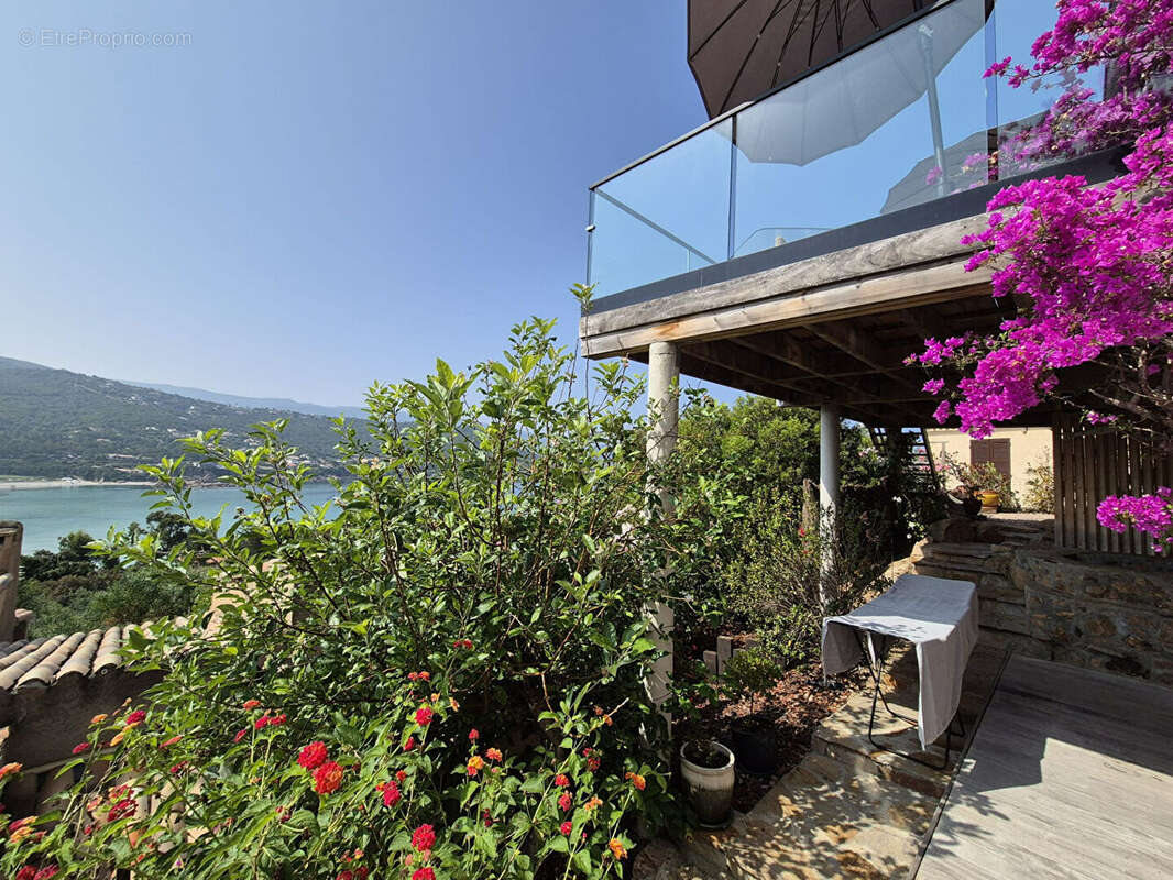 Maison à PIETROSELLA