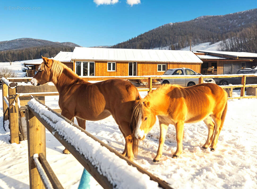 Maison à SAINT-DIE-DES-VOSGES