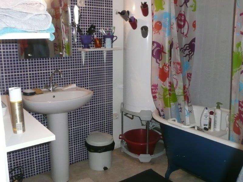 Commerce à CARCASSONNE