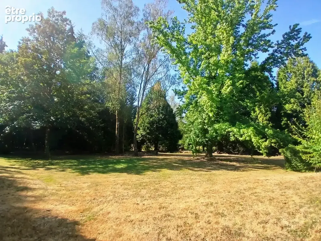 garden 2