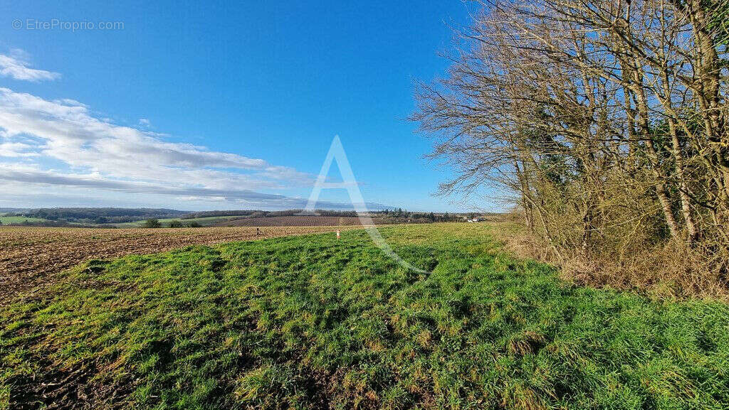 Terrain à LUCAY-LE-MALE