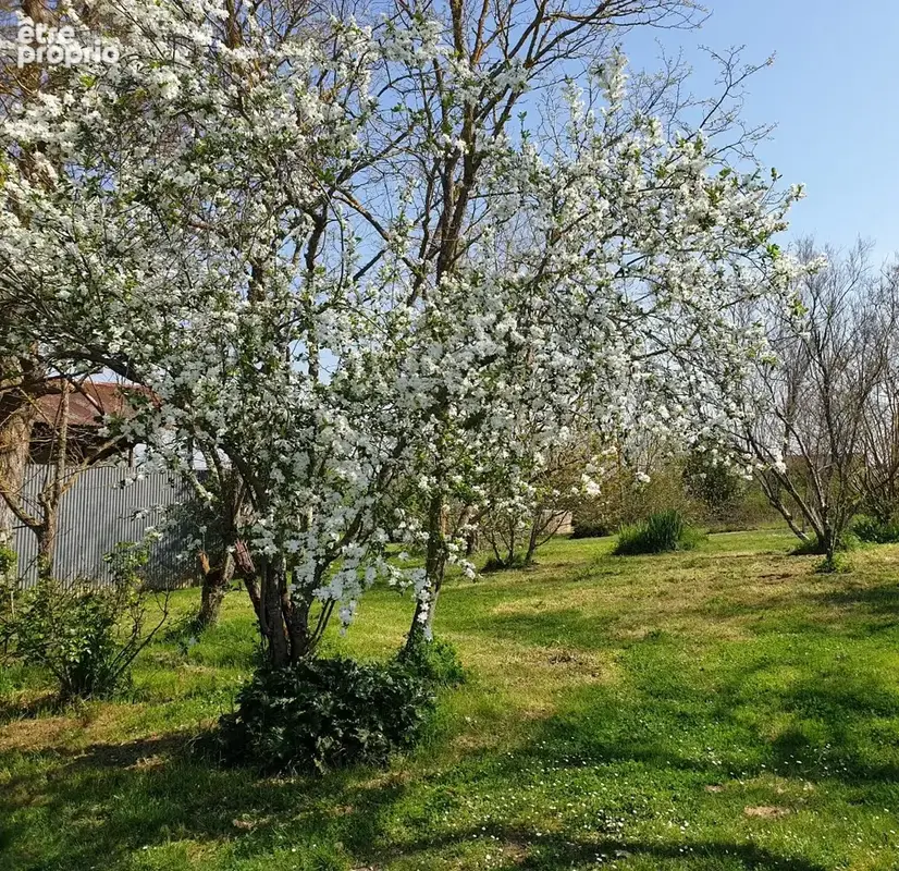 Maison ancienne rénovée avec dépendances - photo 8