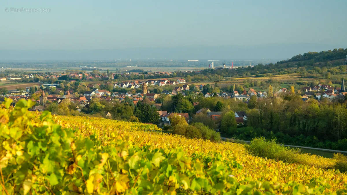 Terrain eckwersheim  proximite immediate de vendenheim et mundolsheim lotissement les berges du canal - photo 3
