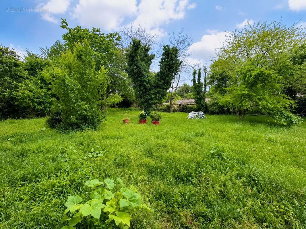 Jardin collectif à l'arrière du bâti - Appartement à BELLAC