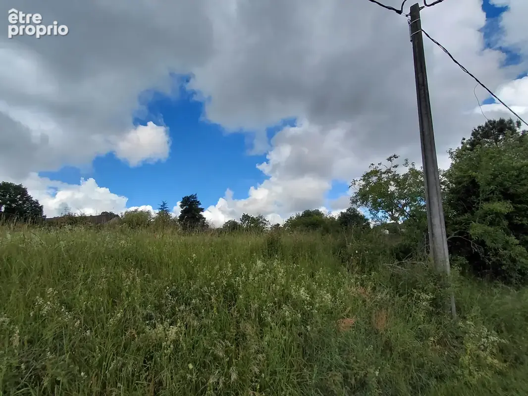 Limeyrat : terrain 4800 m2 à acheter avec NETO-IMMO - photo 4