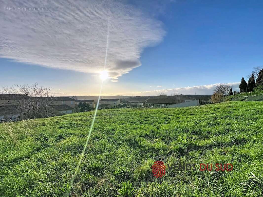 Terrain à MURVIEL-LES-BEZIERS
