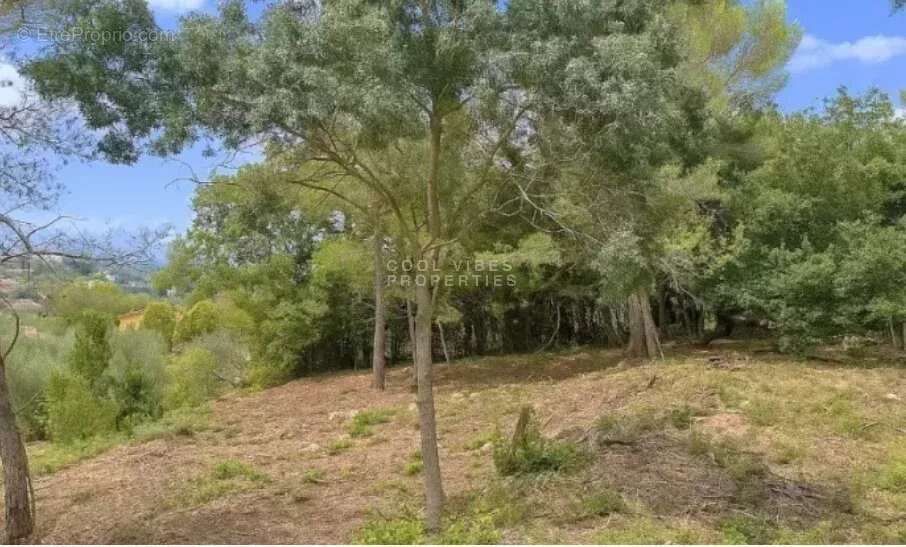 Terrain à MOUANS-SARTOUX