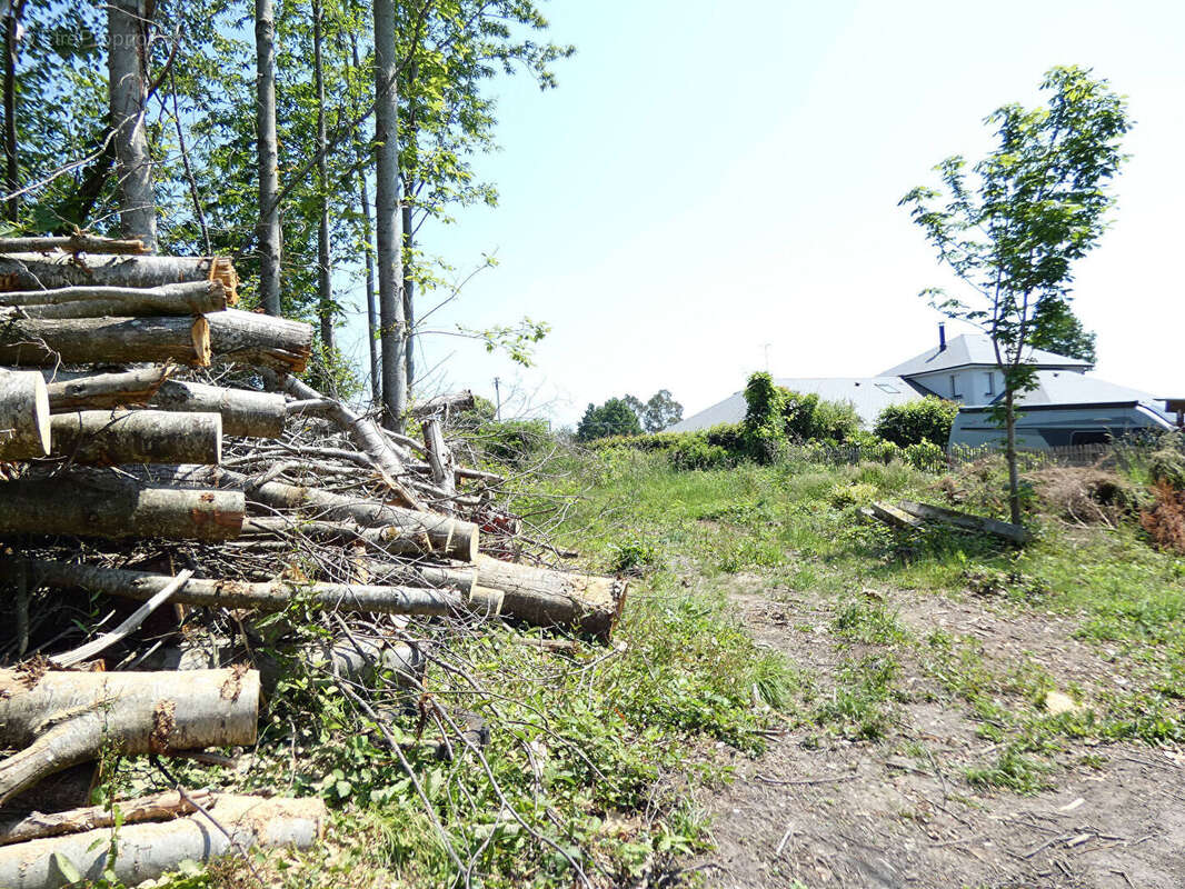 Terrain à PARIGNY
