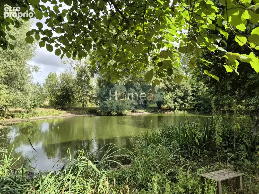 A 2 minutes de Londinières - photo 11