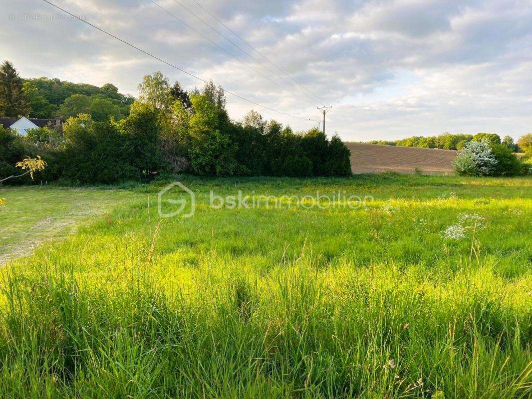 Terrain à VILLERS-SAINT-SEPULCRE