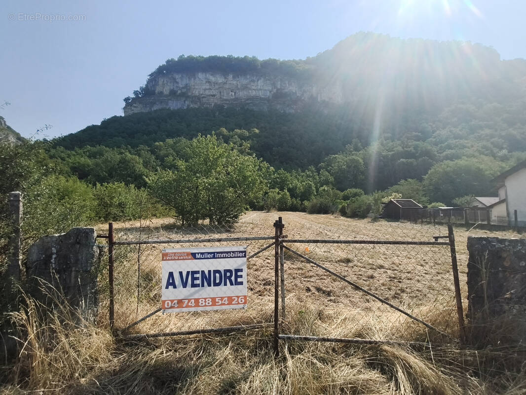 Terrain à SERRIERES-DE-BRIORD