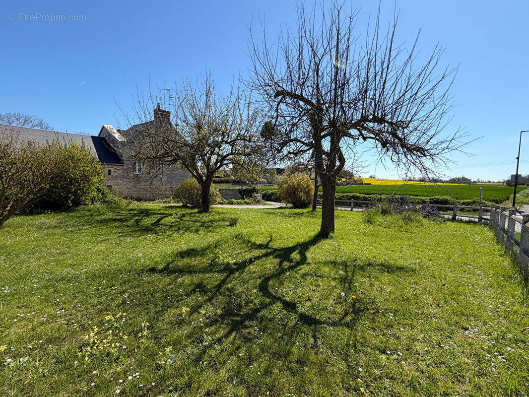 Terrain à SAINT-MANVIEU-NORREY