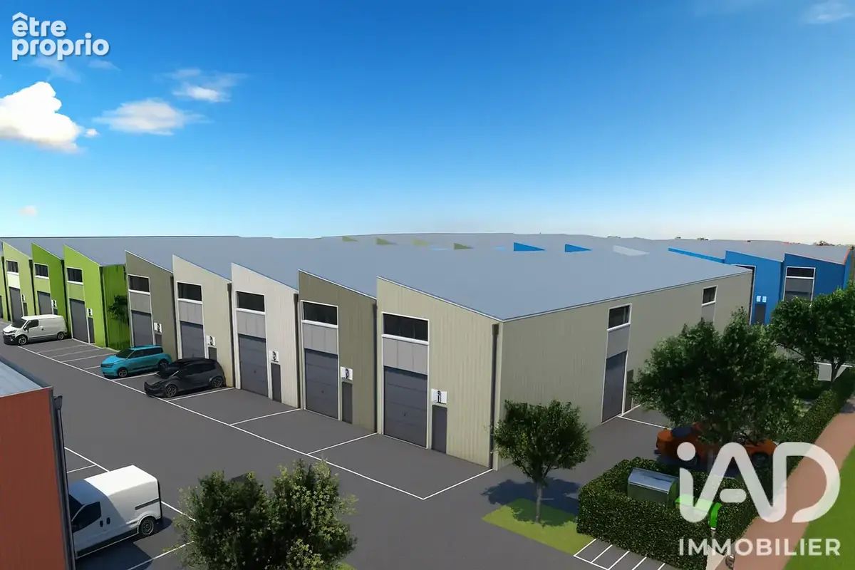 Photo 5