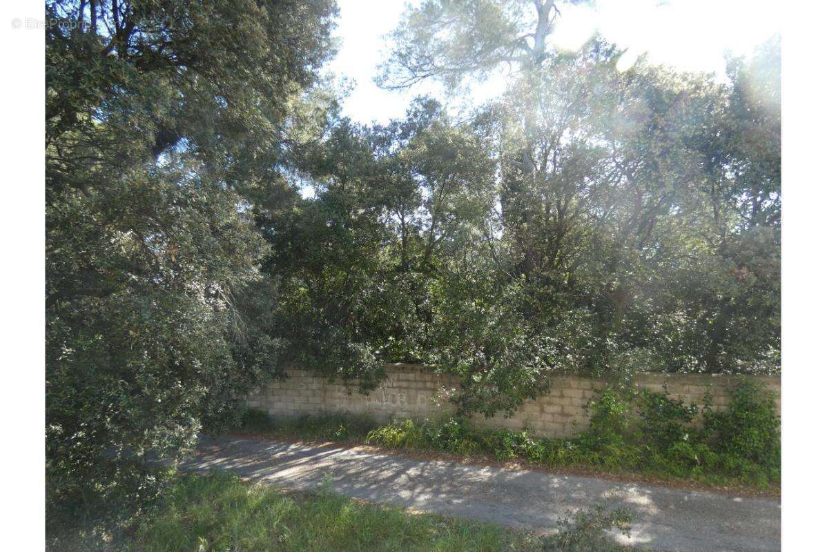 Appartement à JUVIGNAC