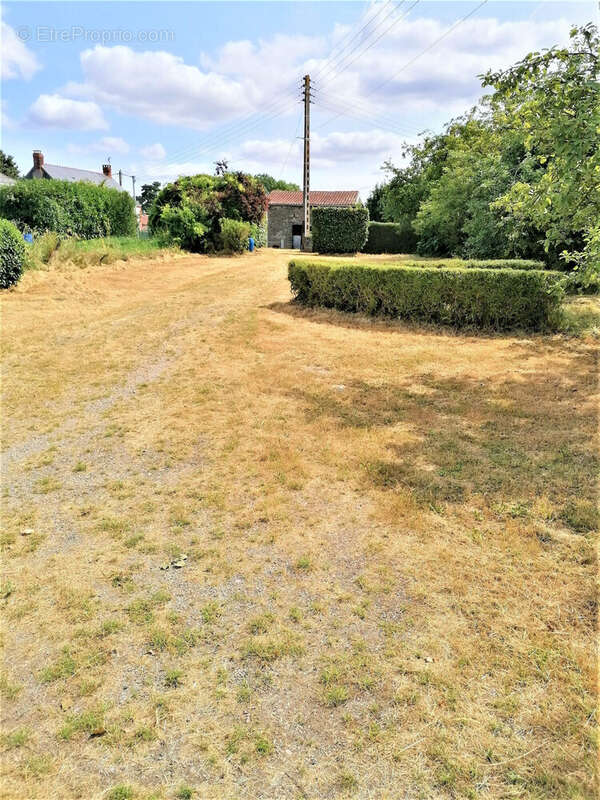 Maison à COUFFE