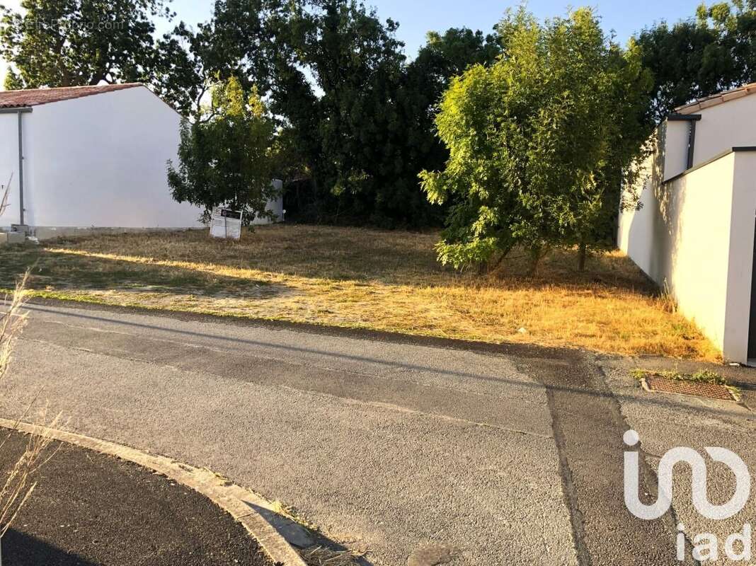 Photo 2 - Terrain à SALLES-SUR-MER