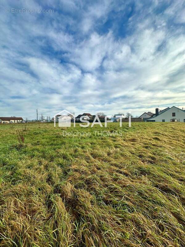 Photo 1 - Terrain à SAULX
