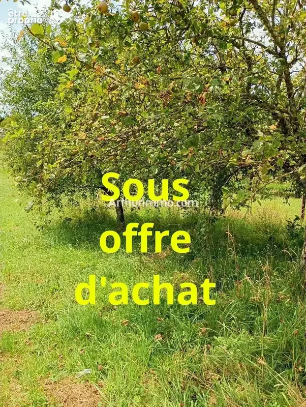 Terrain à ORCHAMPS