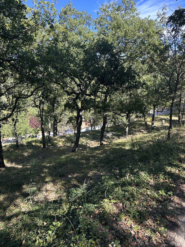 Terrain à MONTAGNAC-MONTPEZAT