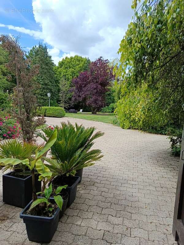 Propriété - Sézanne (51120) - Ref 2294 - photo 11