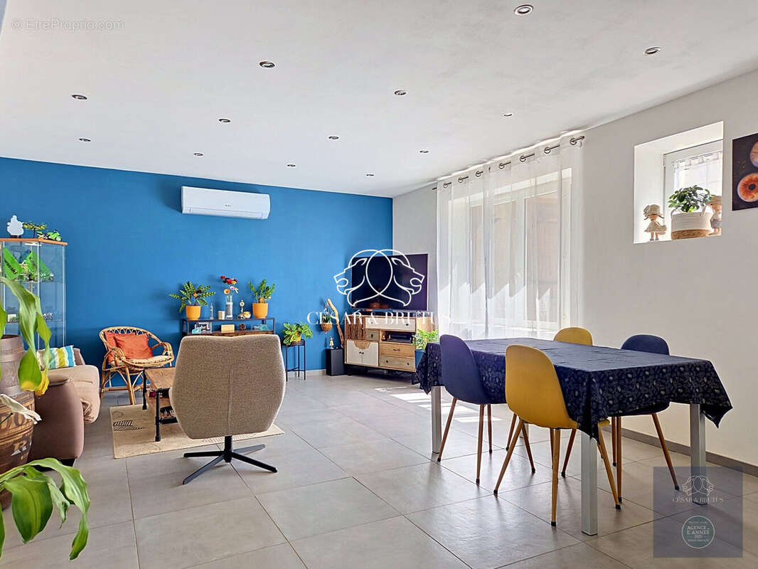 salon séjour - Maison à AUBERIVES-SUR-VAREZE