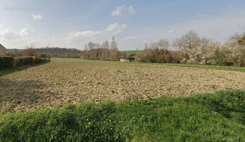 Terrain à VIEILLEVIGNE