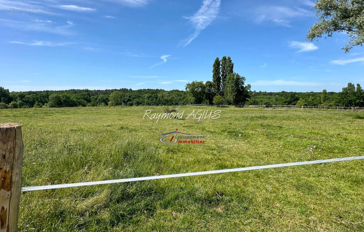 Propriété équestre exceptionnelle avec 5 chambres, piscine chauffée et plus de 6 hectares de terrain - photo 43