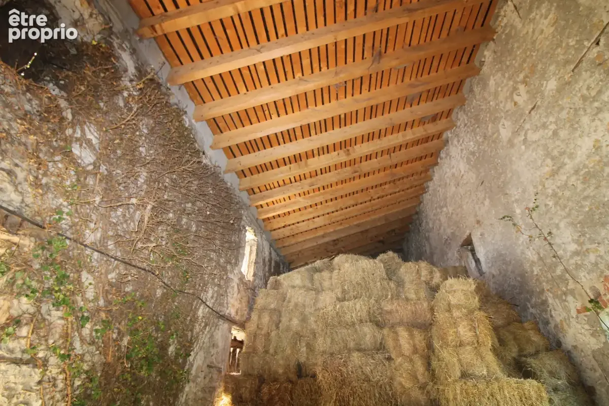 Mas de 2500 m2 sur 26 hectares. - photo 65