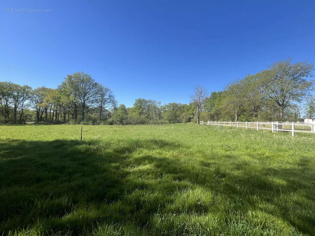 Superbe maison de campagne avec plus de 8 hectares et des boxes à chevaux - photo 2
