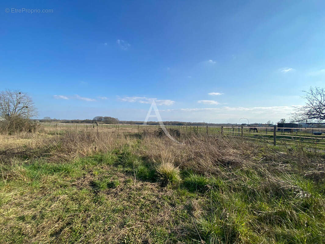 Terrain à MONT-PRES-CHAMBORD