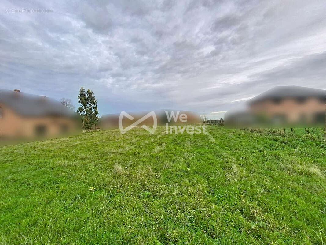 Terrain à SASSEGNIES