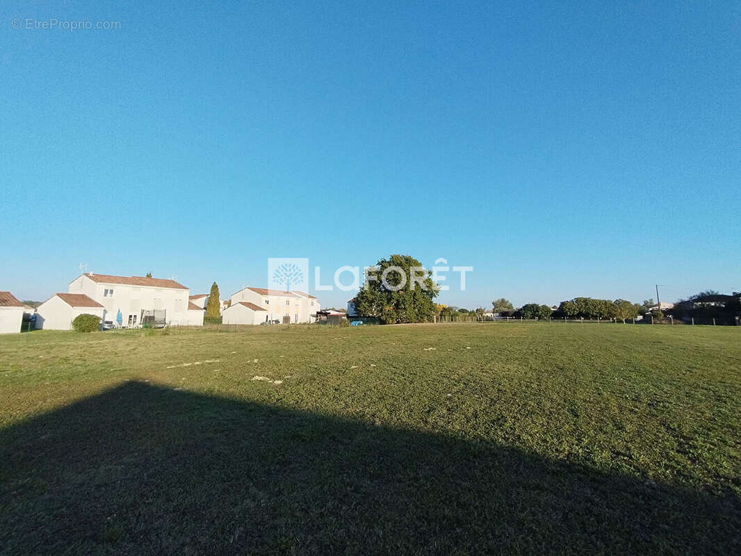 Terrain à CASTELSARRASIN