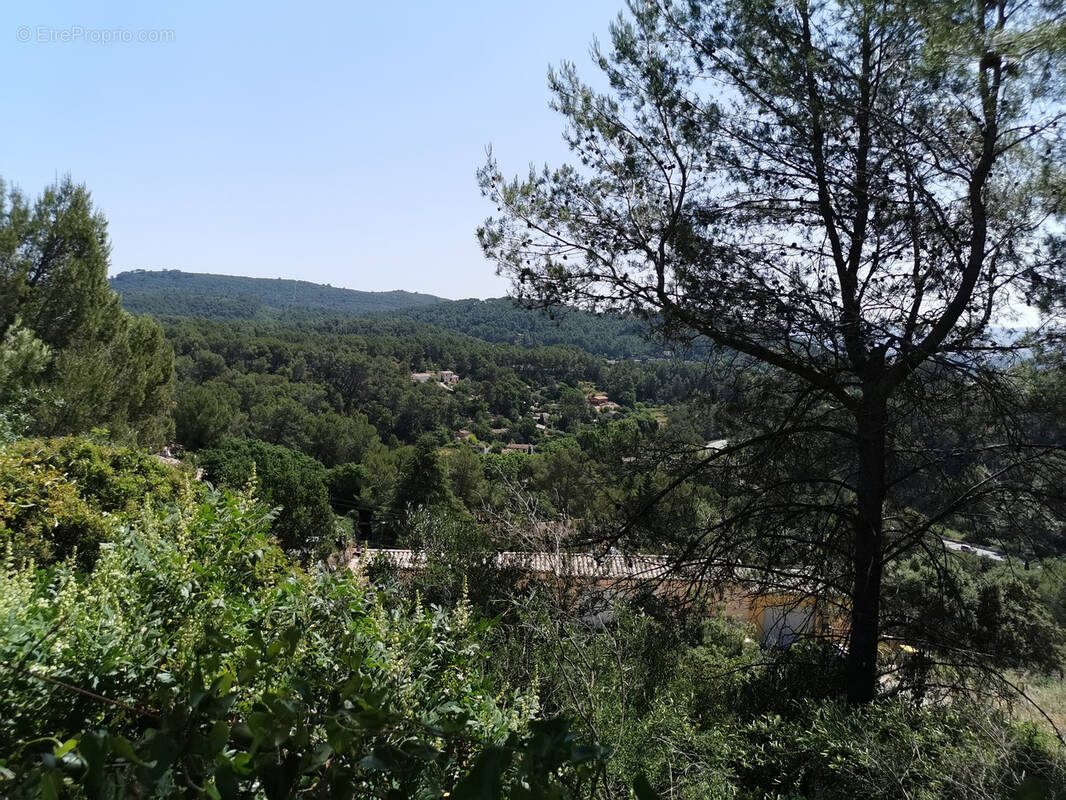 Terrain à LE LUC