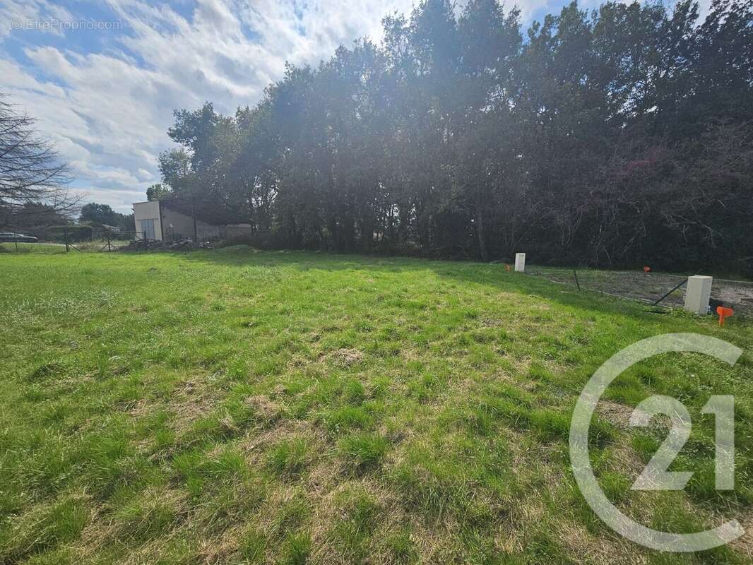 Terrain à MONTBARTIER