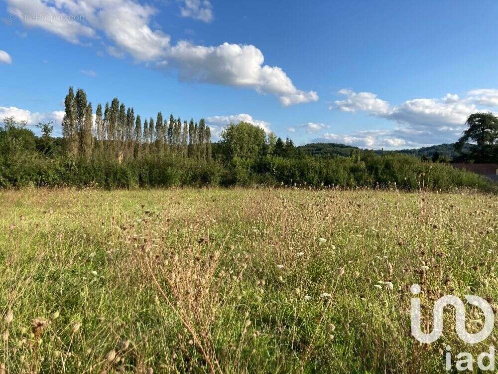 Terrain 2678 m² à Calviac-En-Perigord  - photo 2