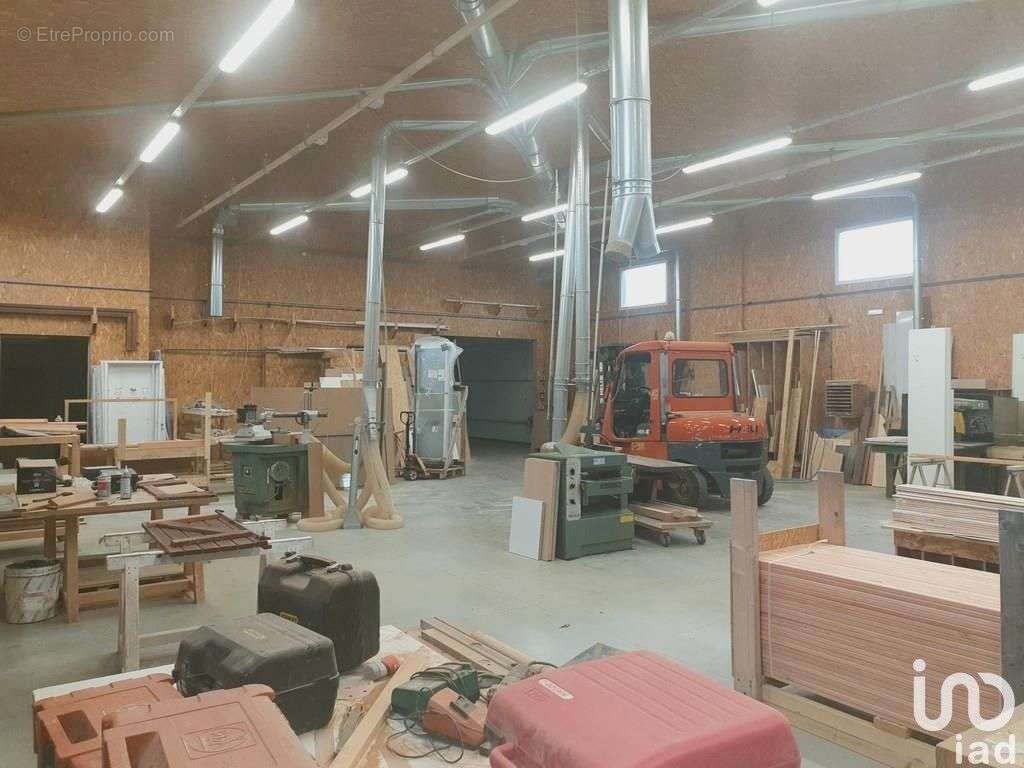 Photo 7 - Commerce à SAINT-JEAN-DE-MONTS