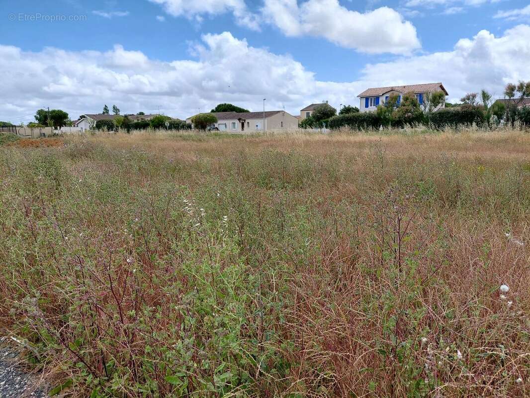 Terrain à SAINT-NAZAIRE-SUR-CHARENTE